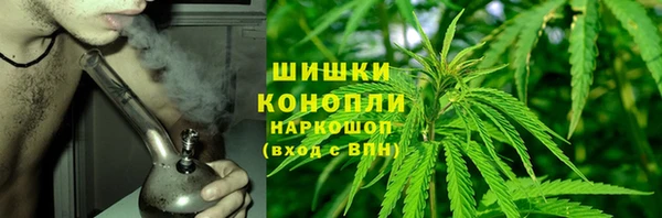 гидропоника Аркадак
